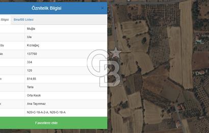 muğla ula kızılağaç yatırımlık tarla