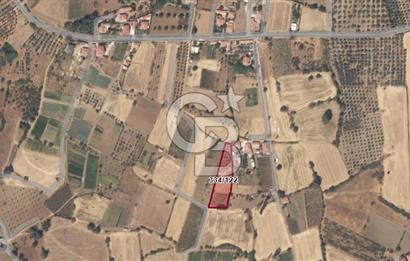 Muğla Ula Kızılağaç'ta Yatırımlık Satılık Tarla