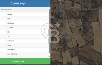 Muğla Ula Kızılağaç'ta Yatırımlık Satılık Tarla