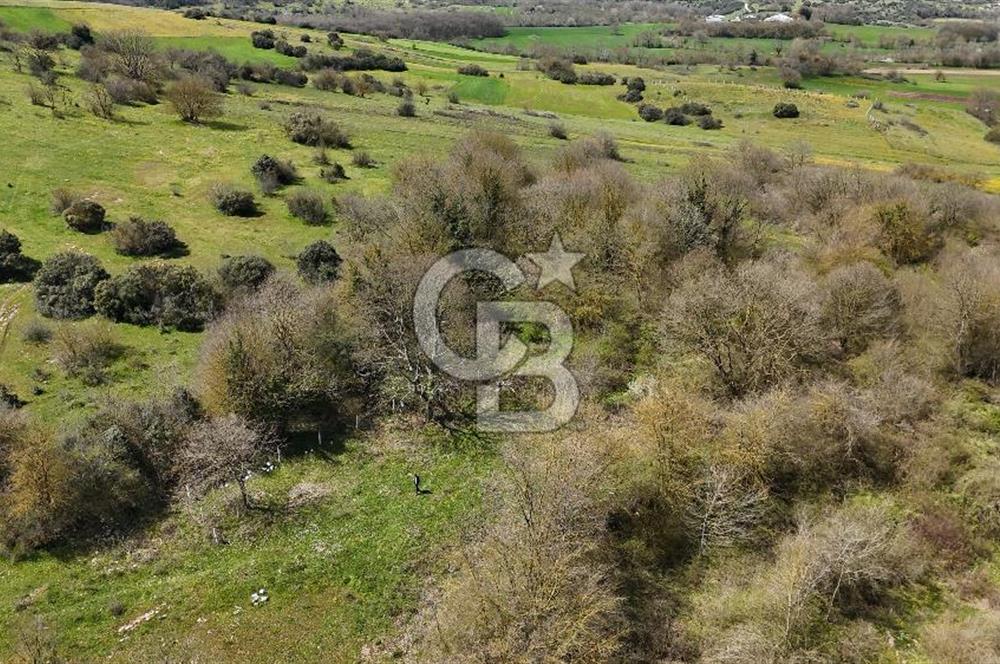 Duraçali de Satılık Müstakil Tapulu, Yola Ve Köye Yakın Parsel