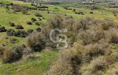 Duraçali de Satılık Müstakil Tapulu, Yola Ve Köye Yakın Parsel