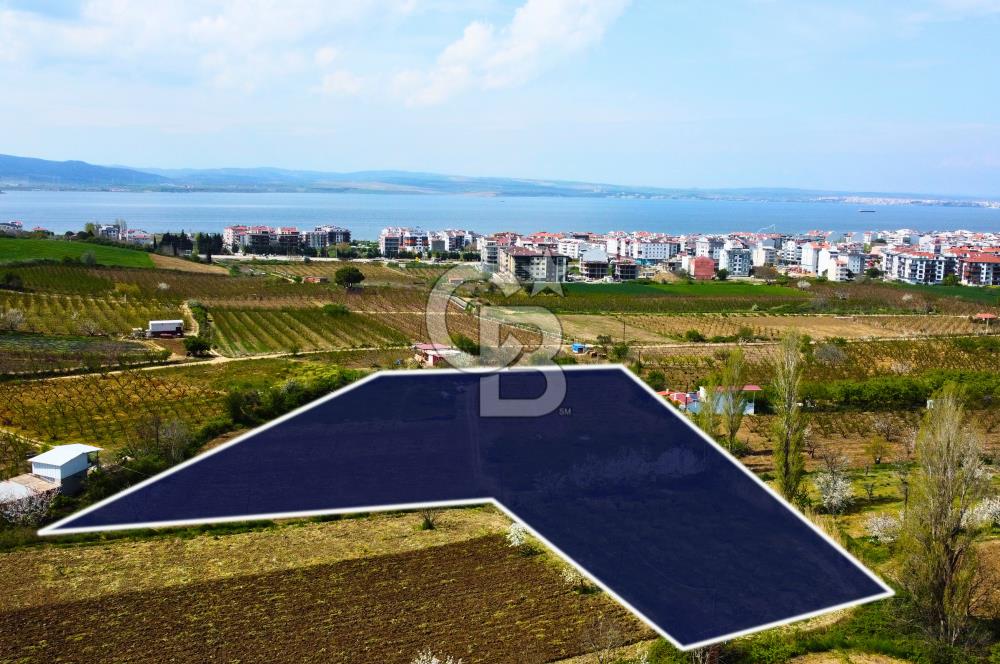 Çanakkale Lapseki Gazisüleymanpaşa Merkez'e Yakın Satılık Tarla
