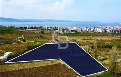Çanakkale Lapseki Gazisüleymanpaşa Merkez'e Yakın Satılık Tarla