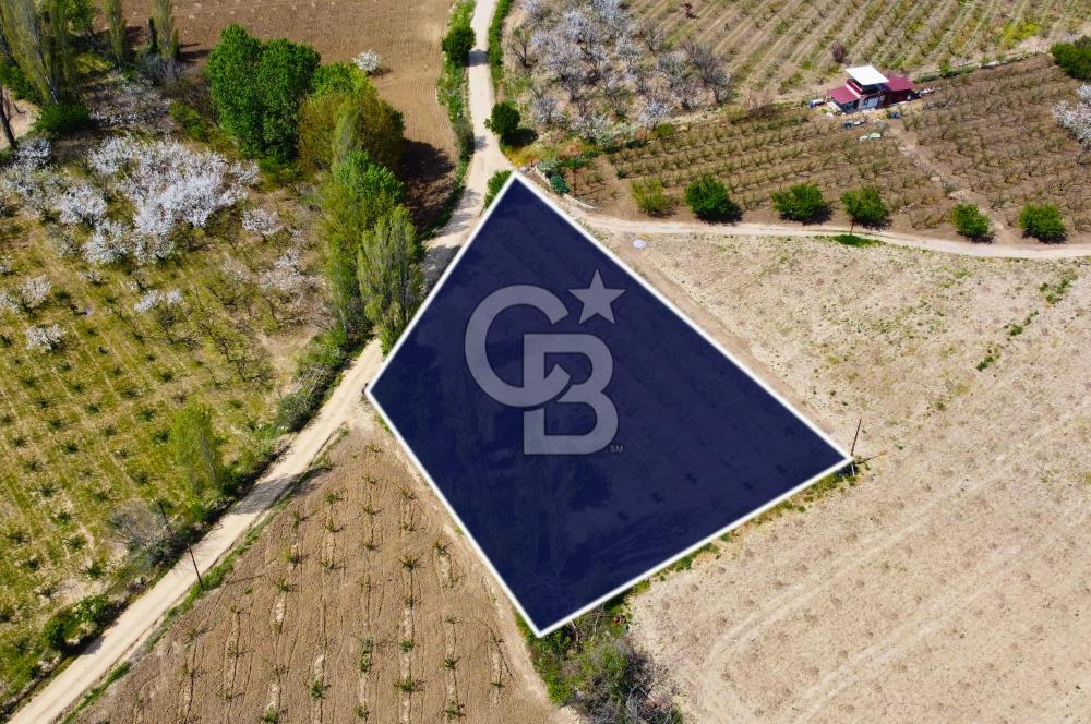 Çanakkale Lapseki Gazisüleymanpaşa Manzaralı 2.074m² Satılık Bağ