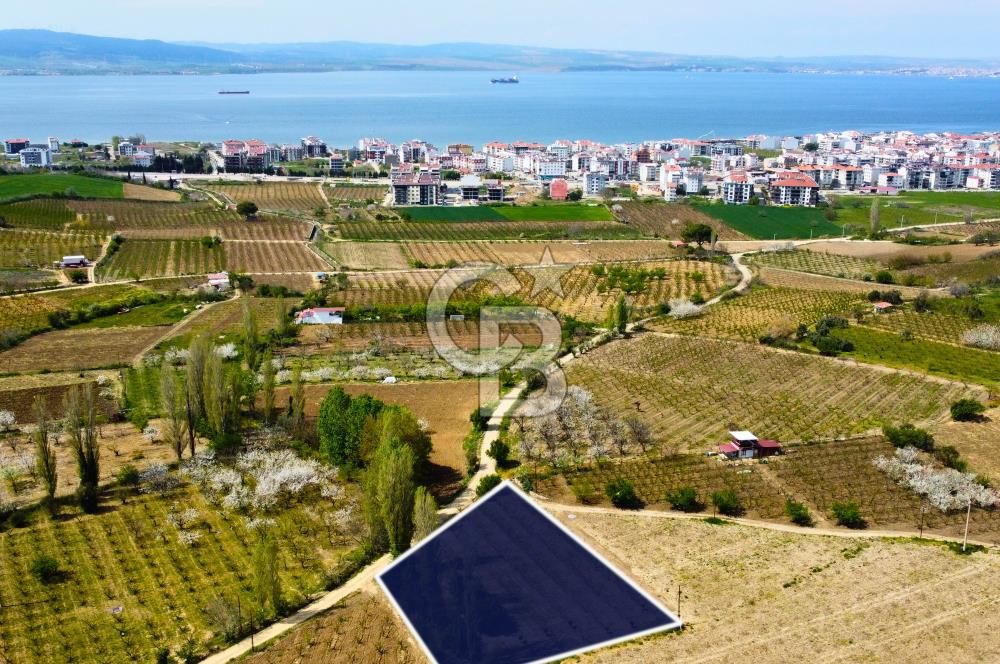 Çanakkale Lapseki Gazisüleymanpaşa Manzaralı 2.074m² Satılık Bağ
