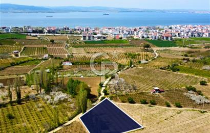 Çanakkale Lapseki Gazisüleymanpaşa Manzaralı 2.074m² Satılık Bağ