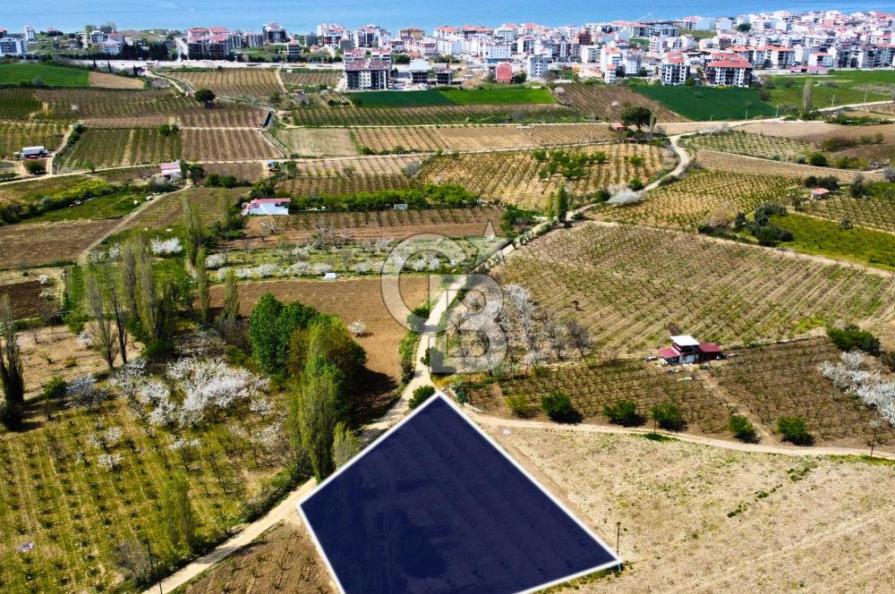 Çanakkale Lapseki Gazisüleymanpaşa Manzaralı 2.074m² Satılık Bağ