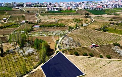 Çanakkale Lapseki Gazisüleymanpaşa Manzaralı 2.074m² Satılık Bağ