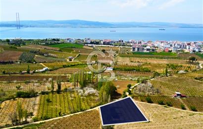 Çanakkale Lapseki Gazisüleymanpaşa Manzaralı 2.074m² Satılık Bağ