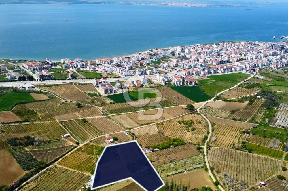 Çanakkale Lapseki Gazisüleymanpaşa Merkez'e Yakın Satılık Tarla