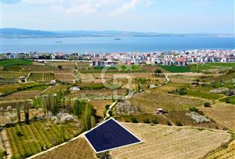 Çanakkale Lapseki Gazisüleymanpaşa Manzaralı 2.074m² Satılık Bağ - 6 - 345678