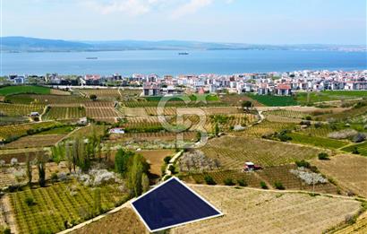 Çanakkale Lapseki Gazisüleymanpaşa Manzaralı 2.074m² Satılık Bağ