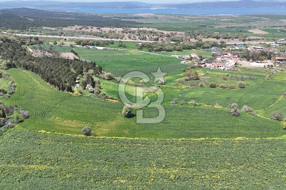 Çanakkale Merkez Özbek Köyü’nde Yatırımlık Arazi Kooperatifi! OSB’ye Yakın – Sınırlı Kontenjan (17 Kişi)