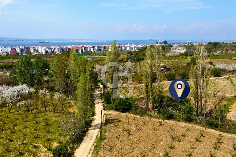 Çanakkale Lapseki Gazisüleymanpaşa Manzaralı 2.074m² Satılık Bağ