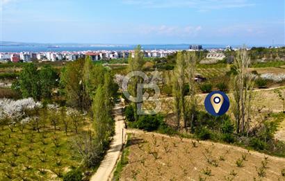 Çanakkale Lapseki Gazisüleymanpaşa Manzaralı 2.074m² Satılık Bağ