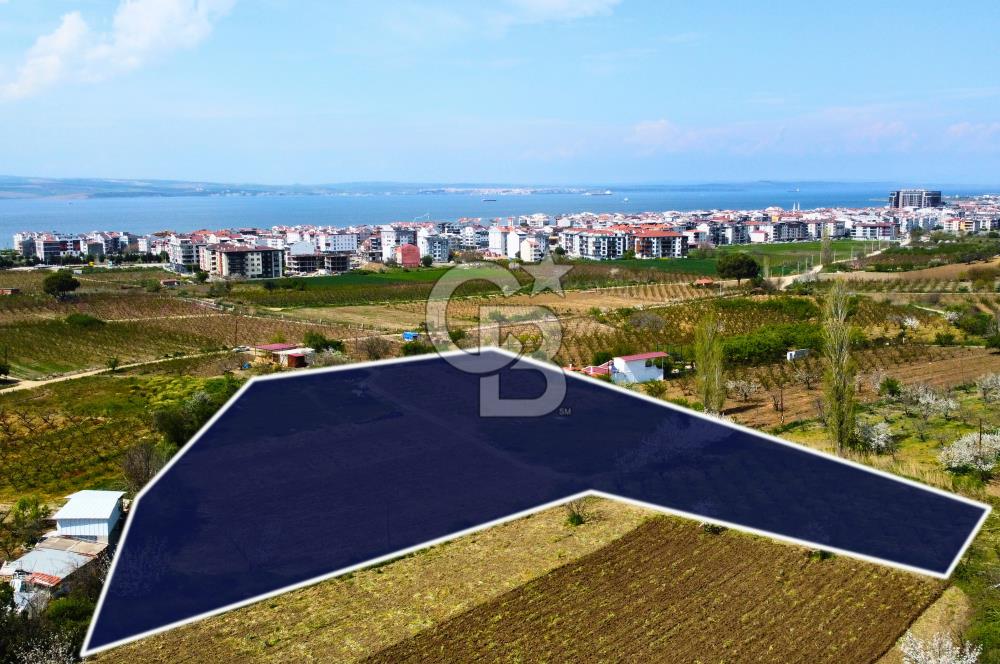 Çanakkale Lapseki Gazisüleymanpaşa Merkez'e Yakın Satılık Tarla