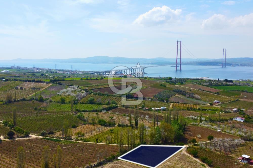 Çanakkale Lapseki Gazisüleymanpaşa Manzaralı 2.074m² Satılık Bağ
