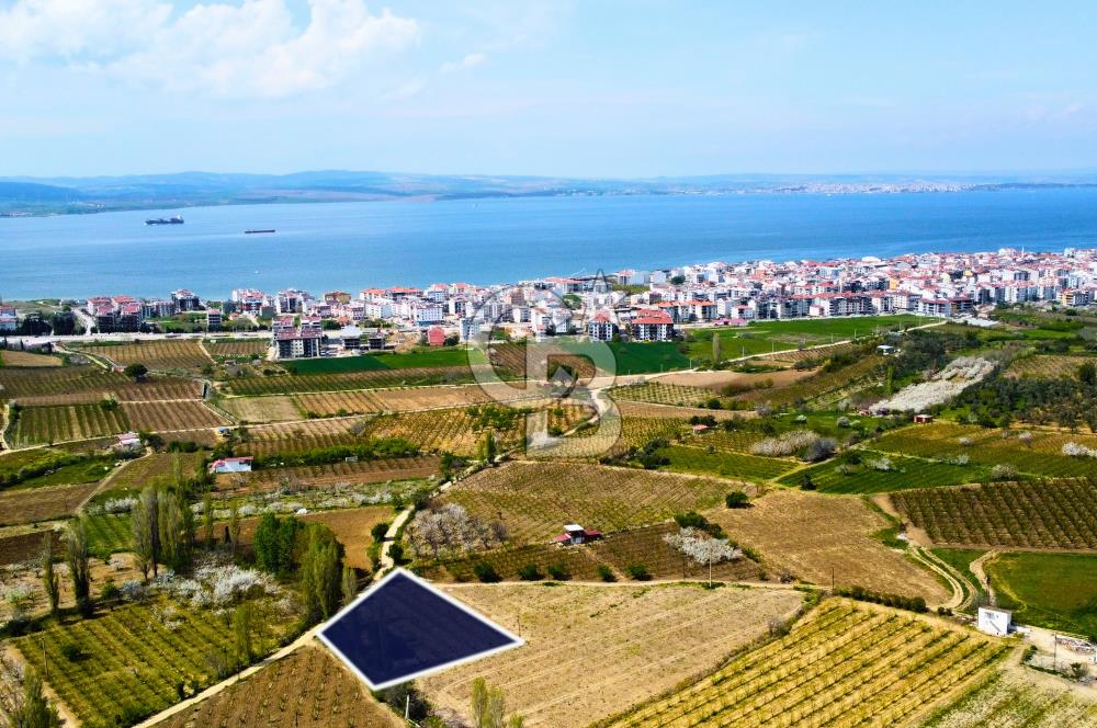 Çanakkale Lapseki Gazisüleymanpaşa Manzaralı 2.074m² Satılık Bağ