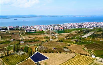 Çanakkale Lapseki Gazisüleymanpaşa Manzaralı 2.074m² Satılık Bağ