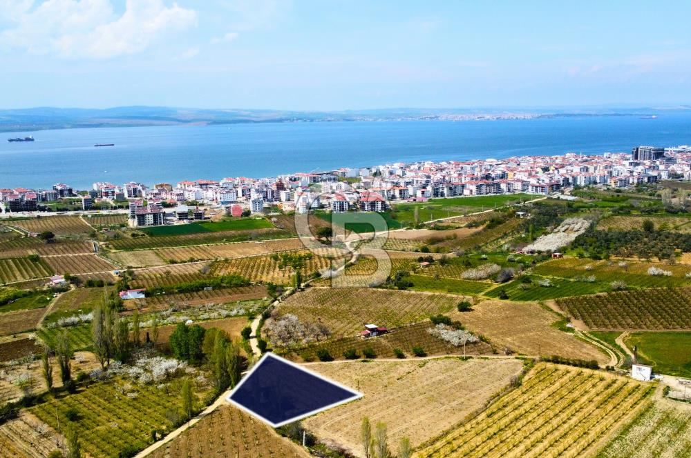 Çanakkale Lapseki Gazisüleymanpaşa Manzaralı 2.074m² Satılık Bağ