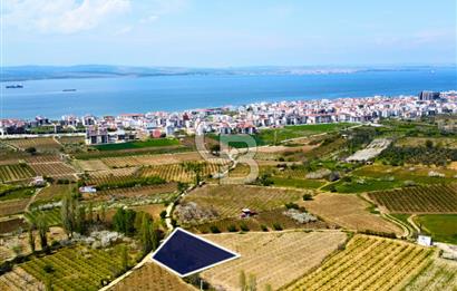 Çanakkale Lapseki Gazisüleymanpaşa Manzaralı 2.074m² Satılık Bağ