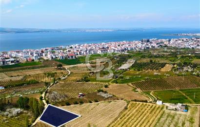 Çanakkale Lapseki Gazisüleymanpaşa Manzaralı 2.074m² Satılık Bağ