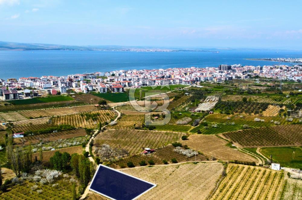 Çanakkale Lapseki Gazisüleymanpaşa Manzaralı 2.074m² Satılık Bağ