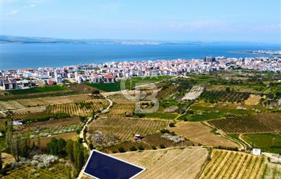 Çanakkale Lapseki Gazisüleymanpaşa Manzaralı 2.074m² Satılık Bağ