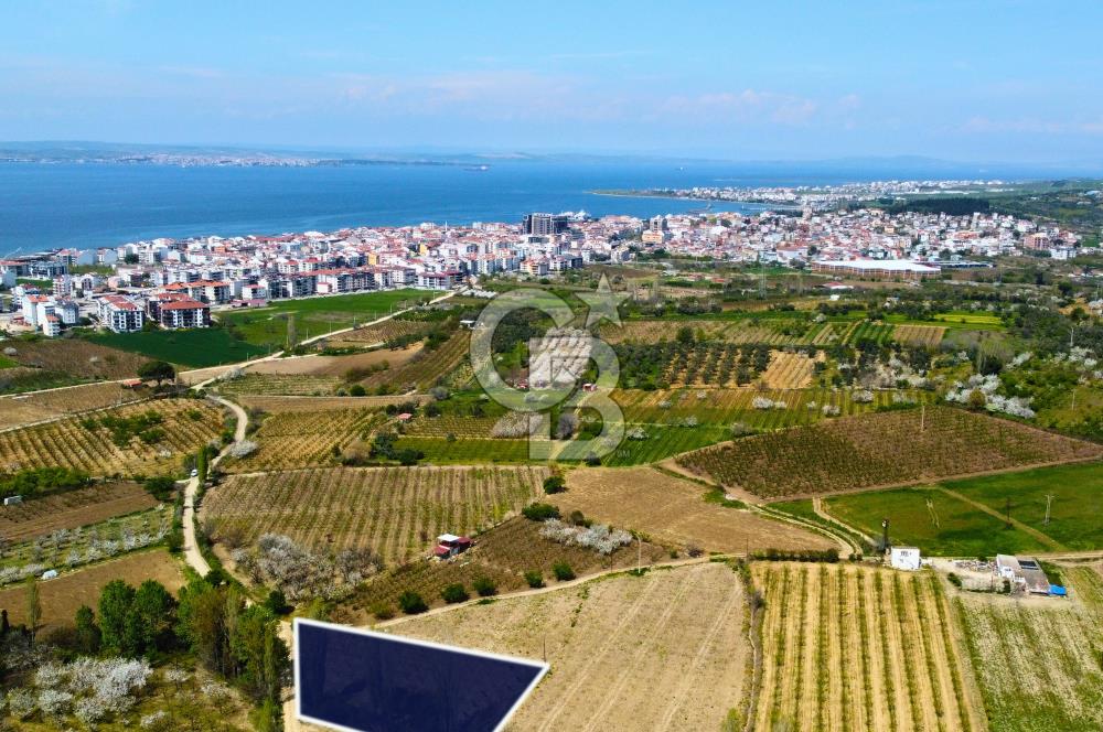 Çanakkale Lapseki Gazisüleymanpaşa Manzaralı 2.074m² Satılık Bağ