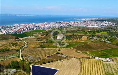 Çanakkale Lapseki Gazisüleymanpaşa Manzaralı 2.074m² Satılık Bağ