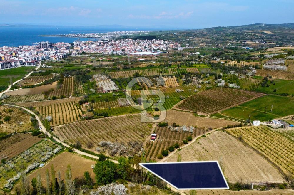 Çanakkale Lapseki Gazisüleymanpaşa Manzaralı 2.074m² Satılık Bağ