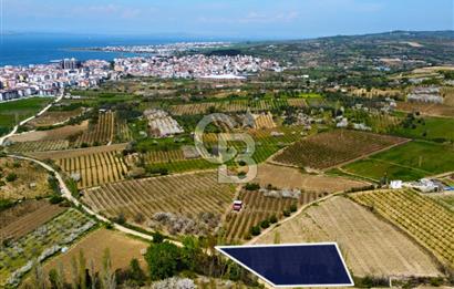 Çanakkale Lapseki Gazisüleymanpaşa Manzaralı 2.074m² Satılık Bağ