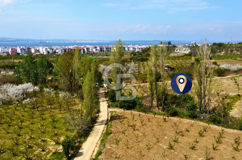 Çanakkale Lapseki Gazisüleymanpaşa Manzaralı 2.074m² Satılık Bağ