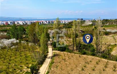 Çanakkale Lapseki Gazisüleymanpaşa Manzaralı 2.074m² Satılık Bağ