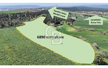 Çanakkale Merkez Özbek Köyü’nde Yatırımlık Arazi Kooperatifi! OSB’ye Yakın – Sınırlı Kontenjan (17 Kişi)