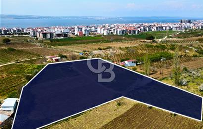 Çanakkale Lapseki Gazisüleymanpaşa Merkez'e Yakın Satılık Tarla