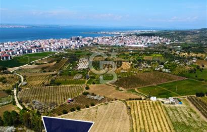 Çanakkale Lapseki Gazisüleymanpaşa Manzaralı 2.074m² Satılık Bağ