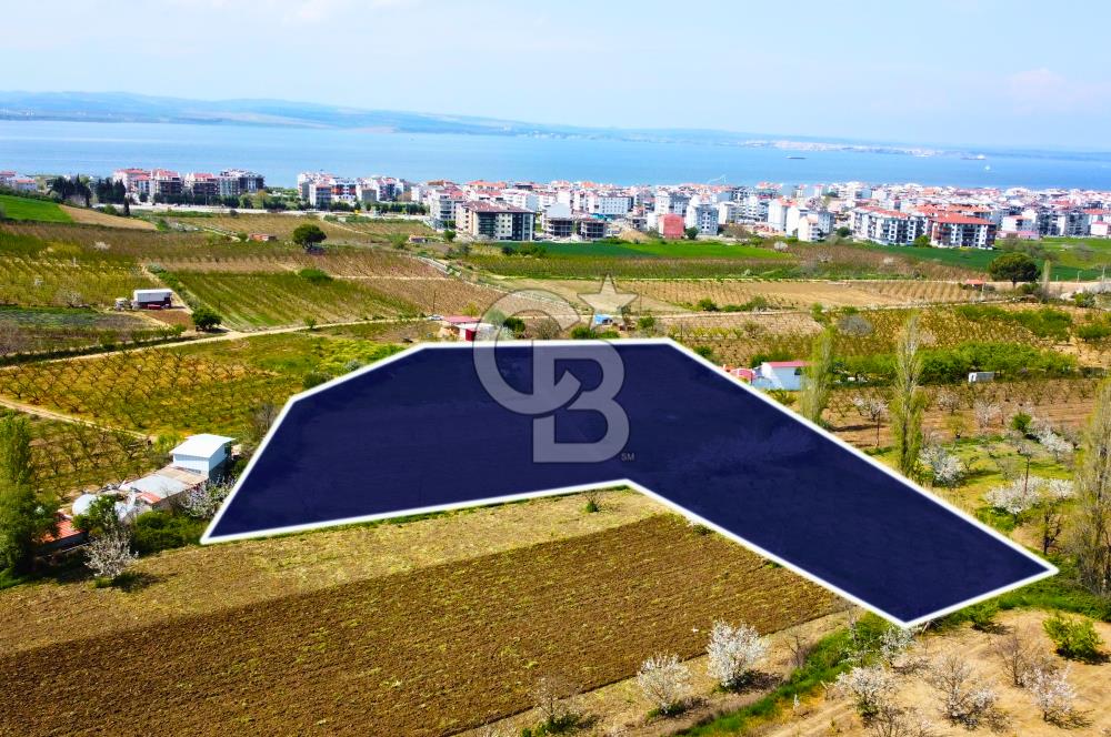 Çanakkale Lapseki Gazisüleymanpaşa Merkez'e Yakın Satılık Tarla