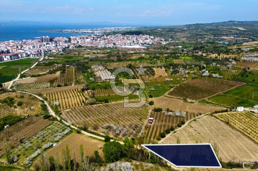 Çanakkale Lapseki Gazisüleymanpaşa Manzaralı 2.074m² Satılık Bağ