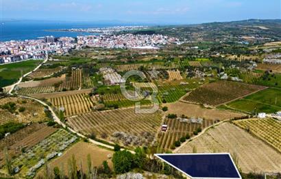 Çanakkale Lapseki Gazisüleymanpaşa Manzaralı 2.074m² Satılık Bağ