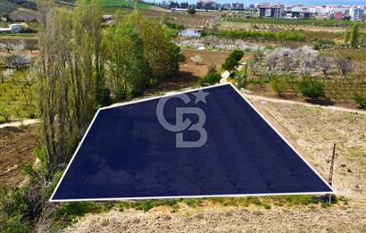 Çanakkale Lapseki Gazisüleymanpaşa Manzaralı 2.074m² Satılık Bağ