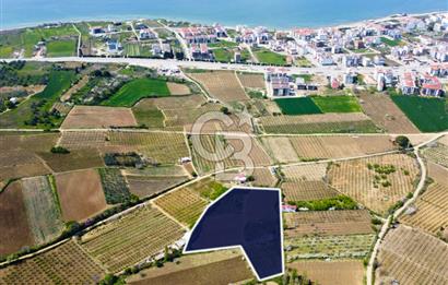 Çanakkale Lapseki Gazisüleymanpaşa Merkez'e Yakın Satılık Tarla