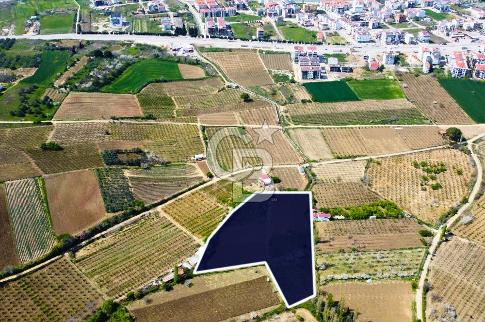 Çanakkale Lapseki Gazisüleymanpaşa Merkez'e Yakın Satılık Tarla