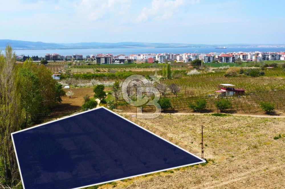 Çanakkale Lapseki Gazisüleymanpaşa Manzaralı 2.074m² Satılık Bağ
