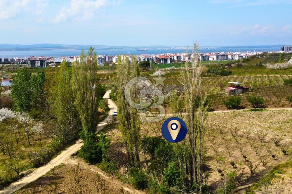 Çanakkale Lapseki Gazisüleymanpaşa Manzaralı 2.074m² Satılık Bağ