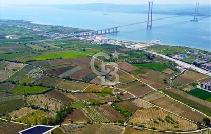 Çanakkale Lapseki Gazisüleymanpaşa Manzaralı 2.074m² Satılık Bağ