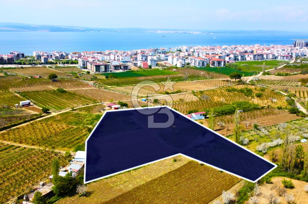 Çanakkale Lapseki Gazisüleymanpaşa Merkez'e Yakın Satılık Tarla