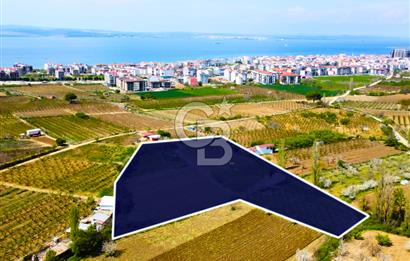 Çanakkale Lapseki Gazisüleymanpaşa Merkez'e Yakın Satılık Tarla
