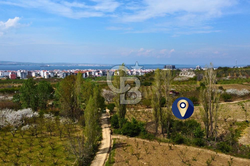 Çanakkale Lapseki Gazisüleymanpaşa Manzaralı 2.074m² Satılık Bağ