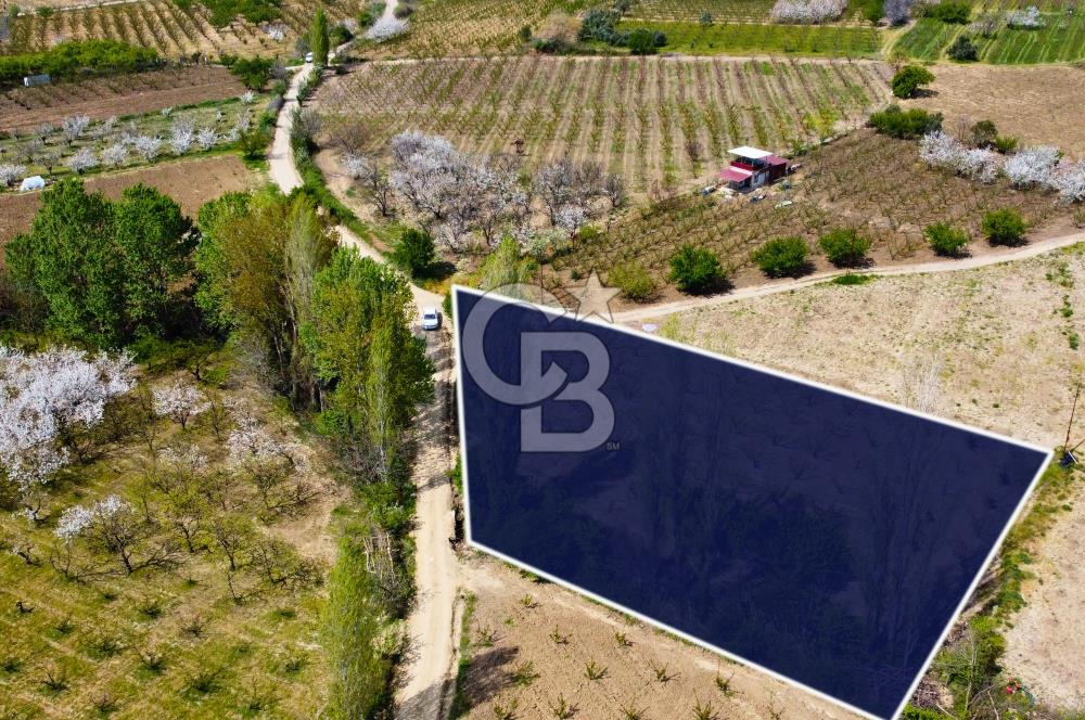 Çanakkale Lapseki Gazisüleymanpaşa Manzaralı 2.074m² Satılık Bağ